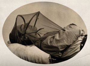 mosquito-net_sleep_wellcome