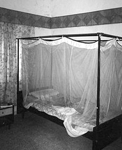 mosquito-netting