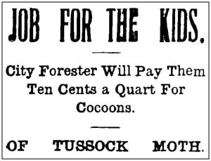 cocoons_buffalo-commercial_072510