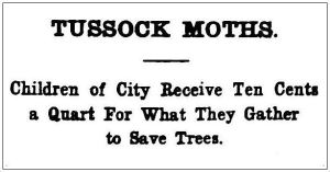 cocoons_buffalo-commercial_080110