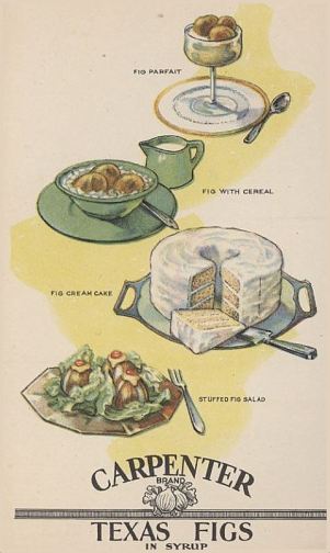 carpenter-texas-figs_illustrations_1929_msu