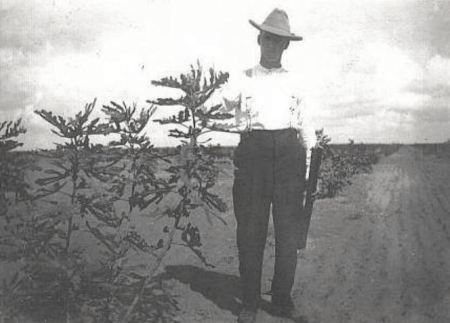 texas-fig-farmer_1911_rppc