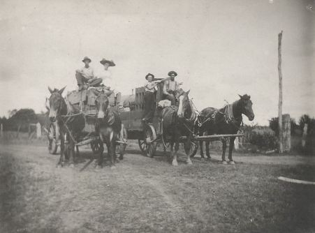 texas-fig-farmers_wagon_rppc_ca1910_ebay
