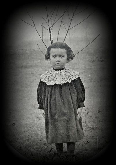 child_possibly-canadian_ebay_tree